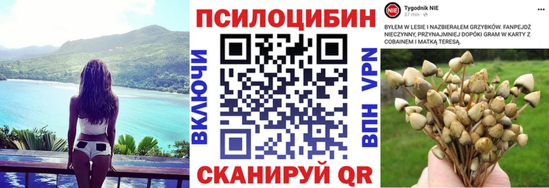 закладка Уржум Псилоцибиновые грибы мицелий